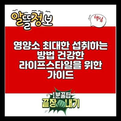 영양소 최대한 섭취하는 방법: 건강한 라이프스타일을 위한 가이드