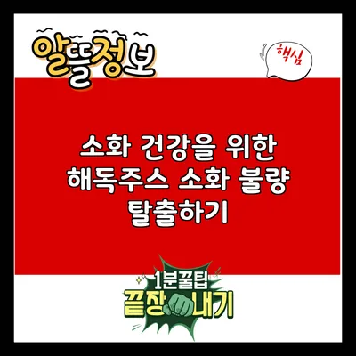 소화 건강을 위한 해독주스: 소화 불량 탈출하기