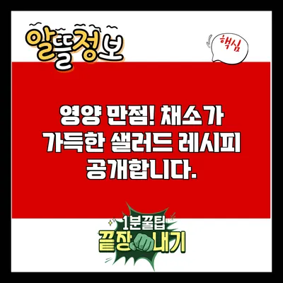 영양 만점! 채소가 가득한 샐러드 레시피 공개합니다.
